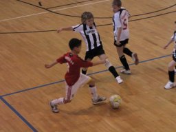 IMG_8221